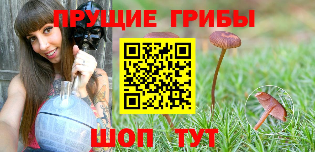 Псилоцибиновые грибы ЛСД Приморско-Ахтарск
